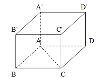 image4.png