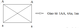image4.png