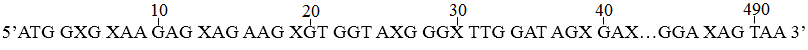 image4.png