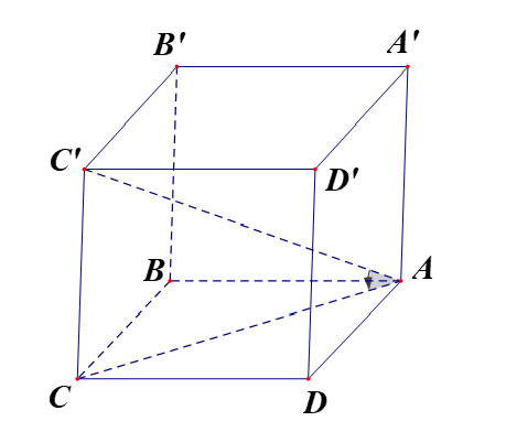image4.png