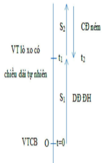 image4.png