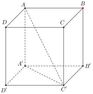 image4.png