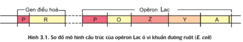 image4.png