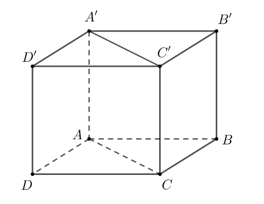 image4.png