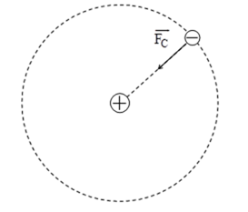 image4.png
