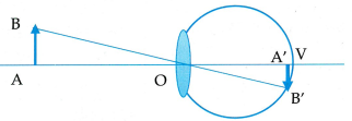image4.png