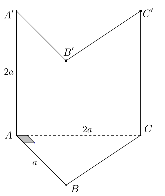 image4.png