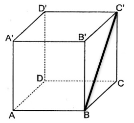 image4.png