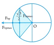 image5.jpg