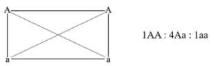 image5.png