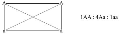 image5.png