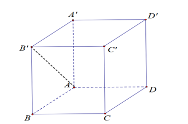 image5.png
