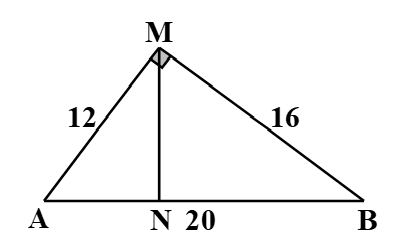 image5.png