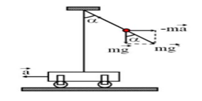 image5.png