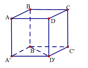 image5.png