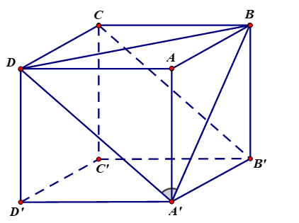 image5.png