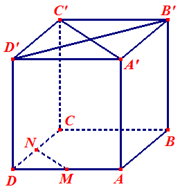 image5.png