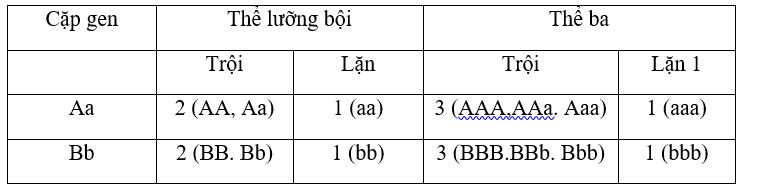 image5.png