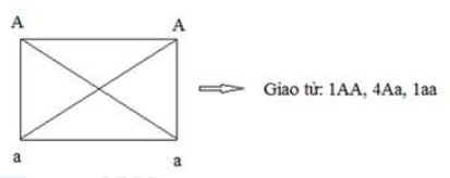 image5.png