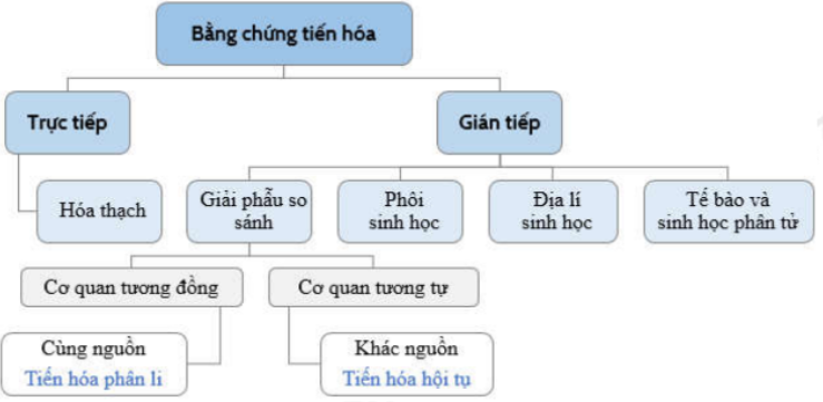 image5.png