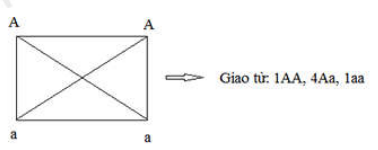 image5.png
