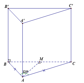 image5.png