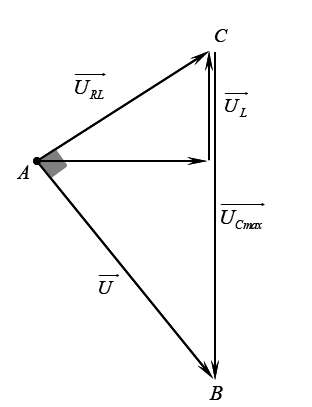 image5.png