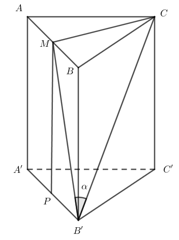 image5.png