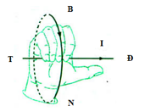 image5.png