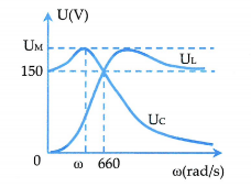 image5.png