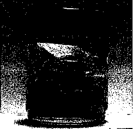 image5.png