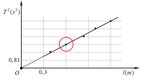 image5.png
