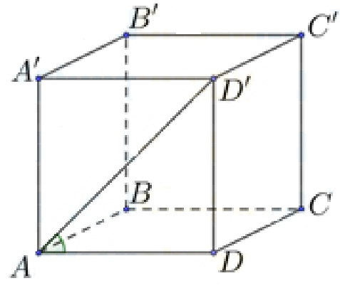 image6.jpg