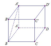 image6.jpg