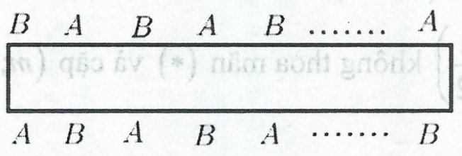 image6.jpg