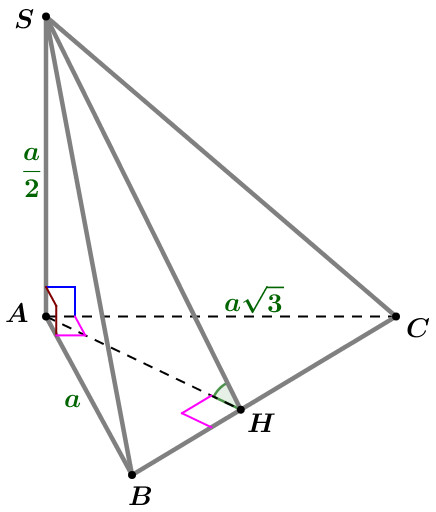 image6.jpg