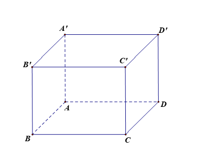 image6.png