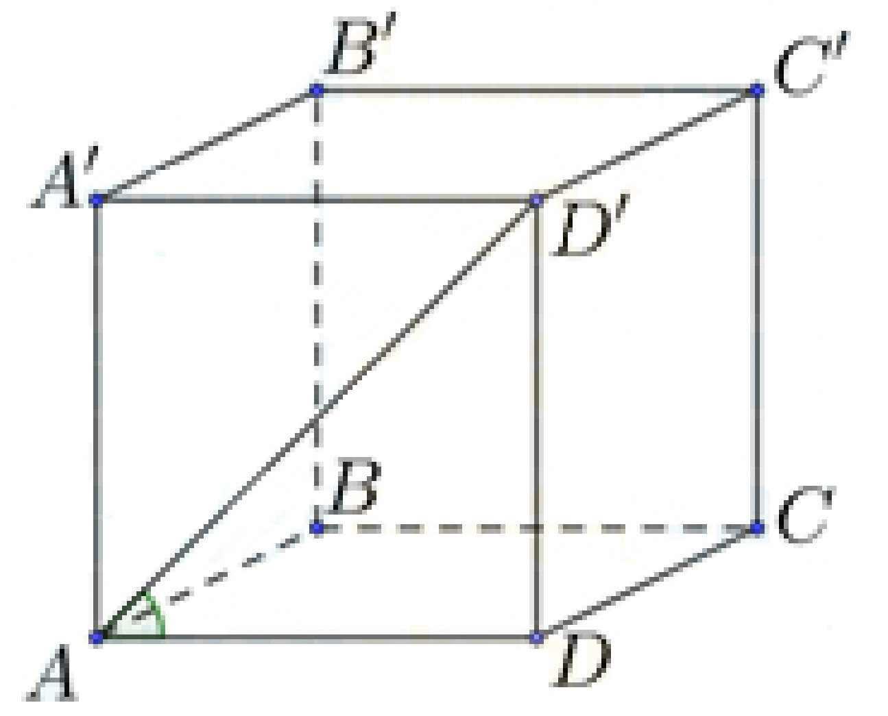 image6.png