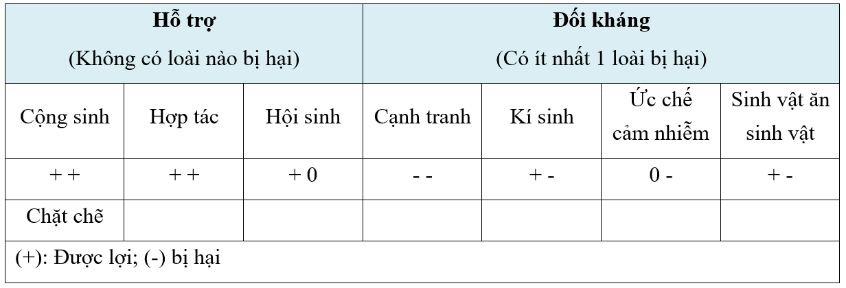 image6.png