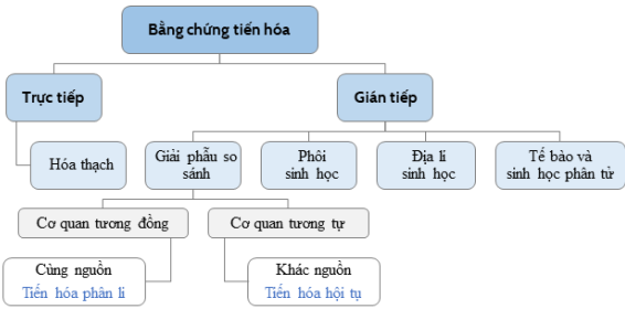image6.png