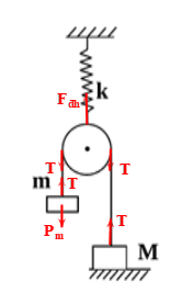 image6.png