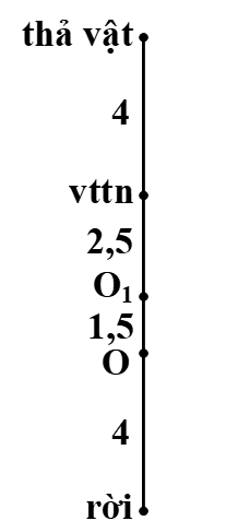 image6.png