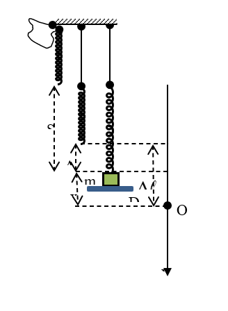 image6.png