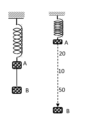 image6.png