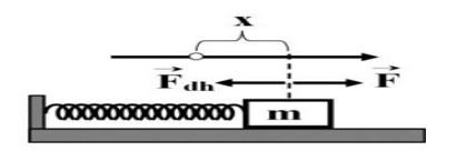 image6.png