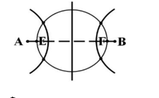 image6.png