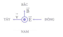 image6.png