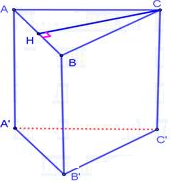 image6.png