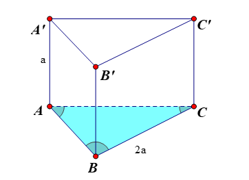 image6.png