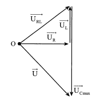 image6.png